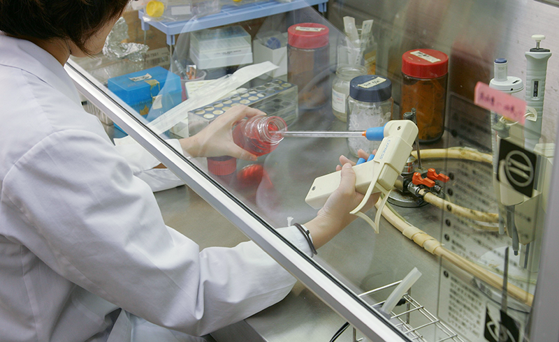 実験の一コマ(細胞培養)