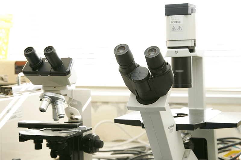 顕微鏡(組織や細胞を観察する実験器具)